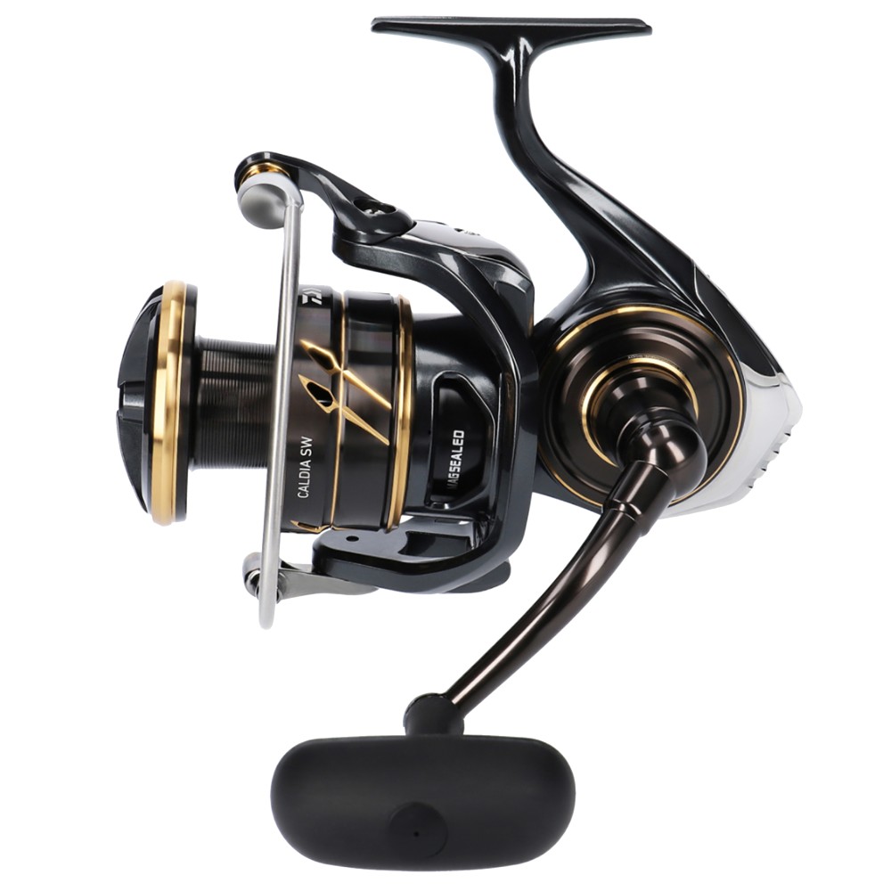 Daiwa 23 Caldia SW Meeresrolle 10000-H (EU) - 200m/ 0,47mm - 5,7:1 - 645g