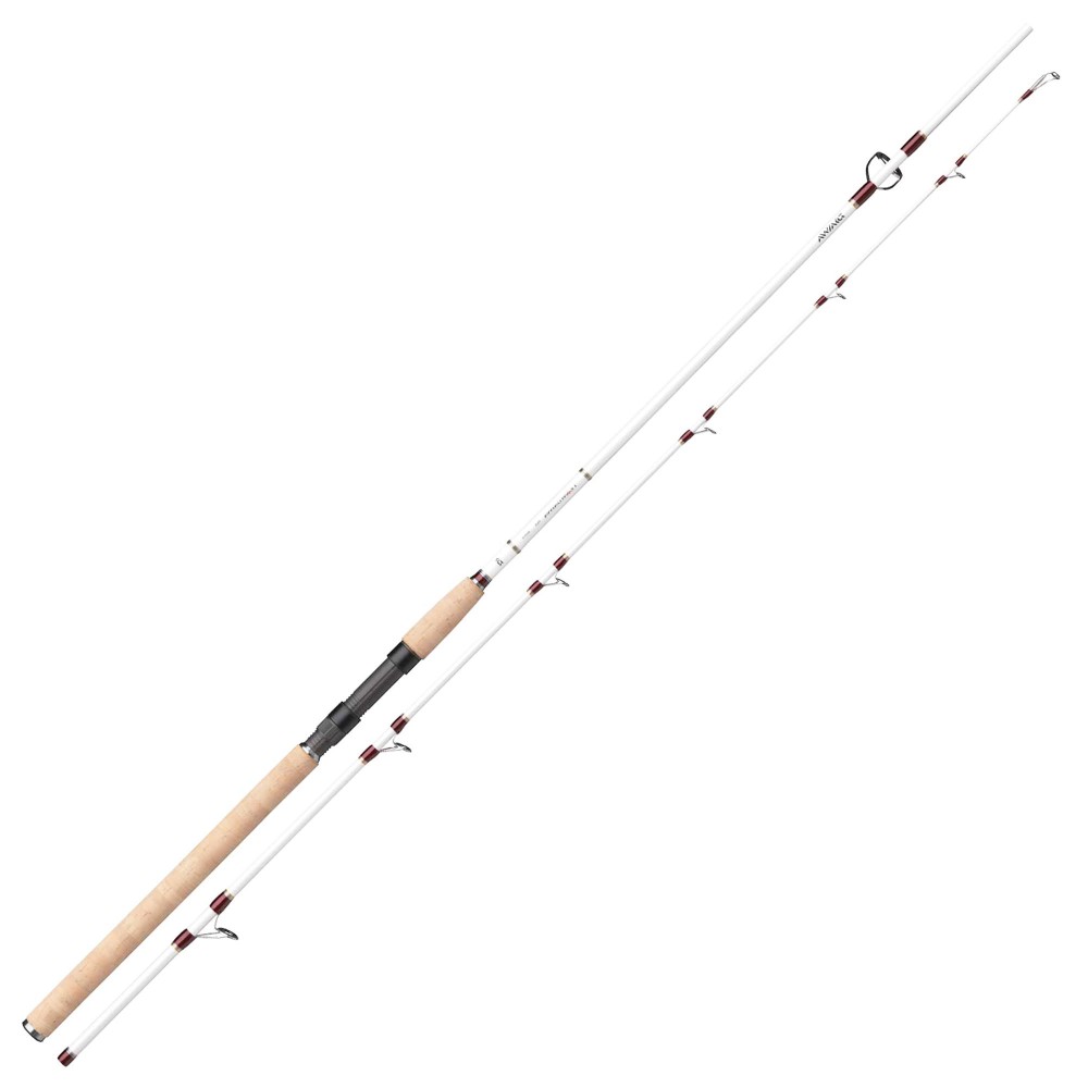 Daiwa Team Daiwa Pilk 2,40m 150-300g 2,4m - 150-300g - 2tlg - 300g