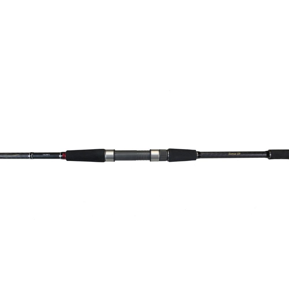 Daiwa Ballistic-X Seatrout 3.10m 10-40g 3,1m - 10-40g - 2tlg - 179g