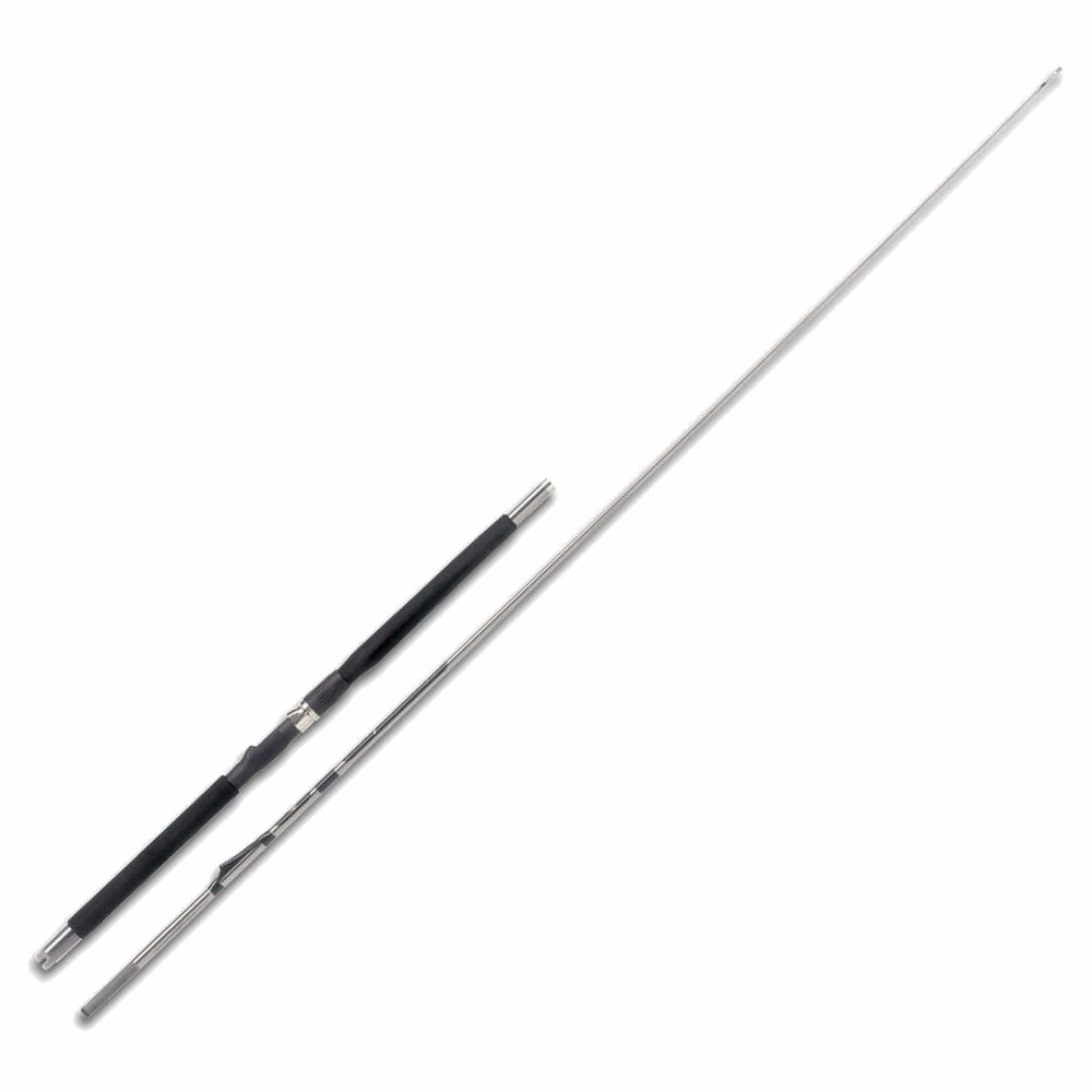 WFT Prion Inline 8" 2,40m 200-300g 2,4m - 200-300g - 2tlg - 350g