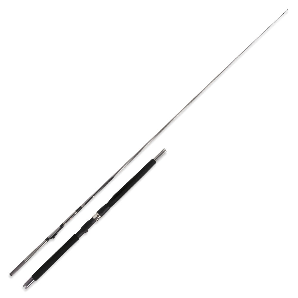 WFT Prion Inline 8" 2,40m 300-600g 2,4m - 300-600g - 2tlg - 380g