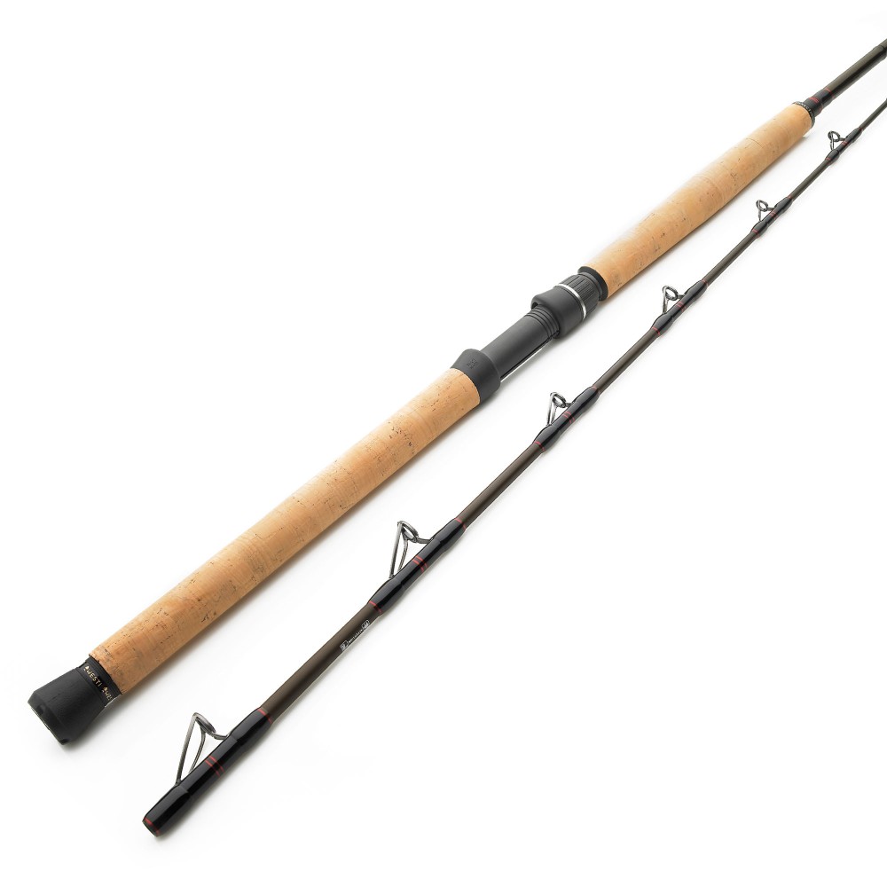 Westin W4 Boat - Meeresrute 225cm - 200-600g - 389g - 2tlg - XXH