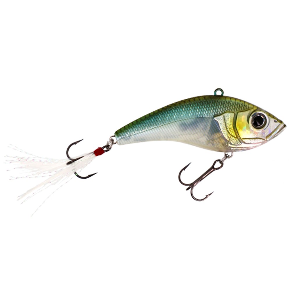 HL Minnow