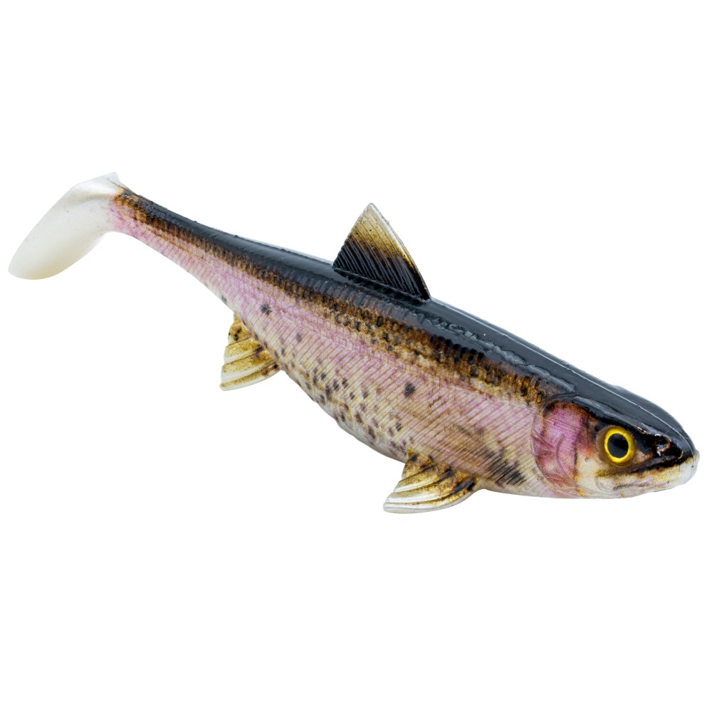 Senshu Real Fin Shad Gummifische 8cm - Rainbow Trout - 4g - 4 Stück