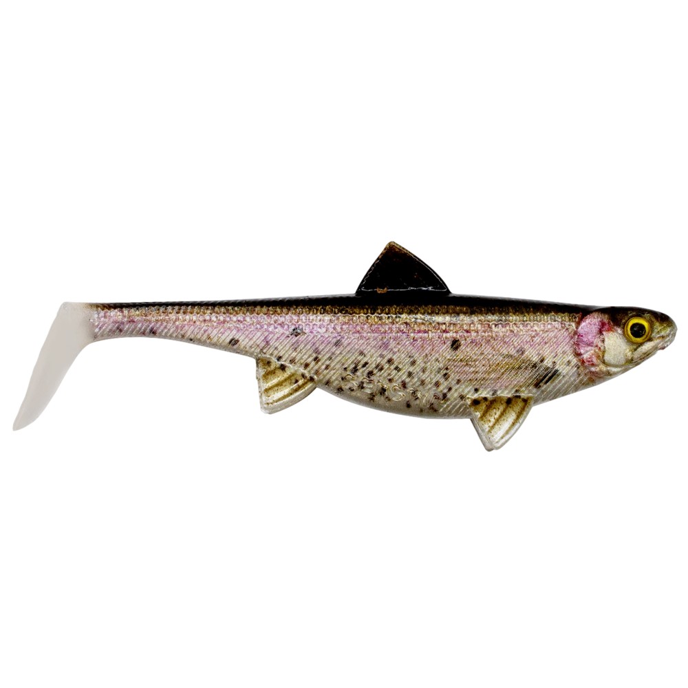 Senshu Real Fin Shad Gummifische 12cm - Rainbow Trout - 13g - 3 Stück