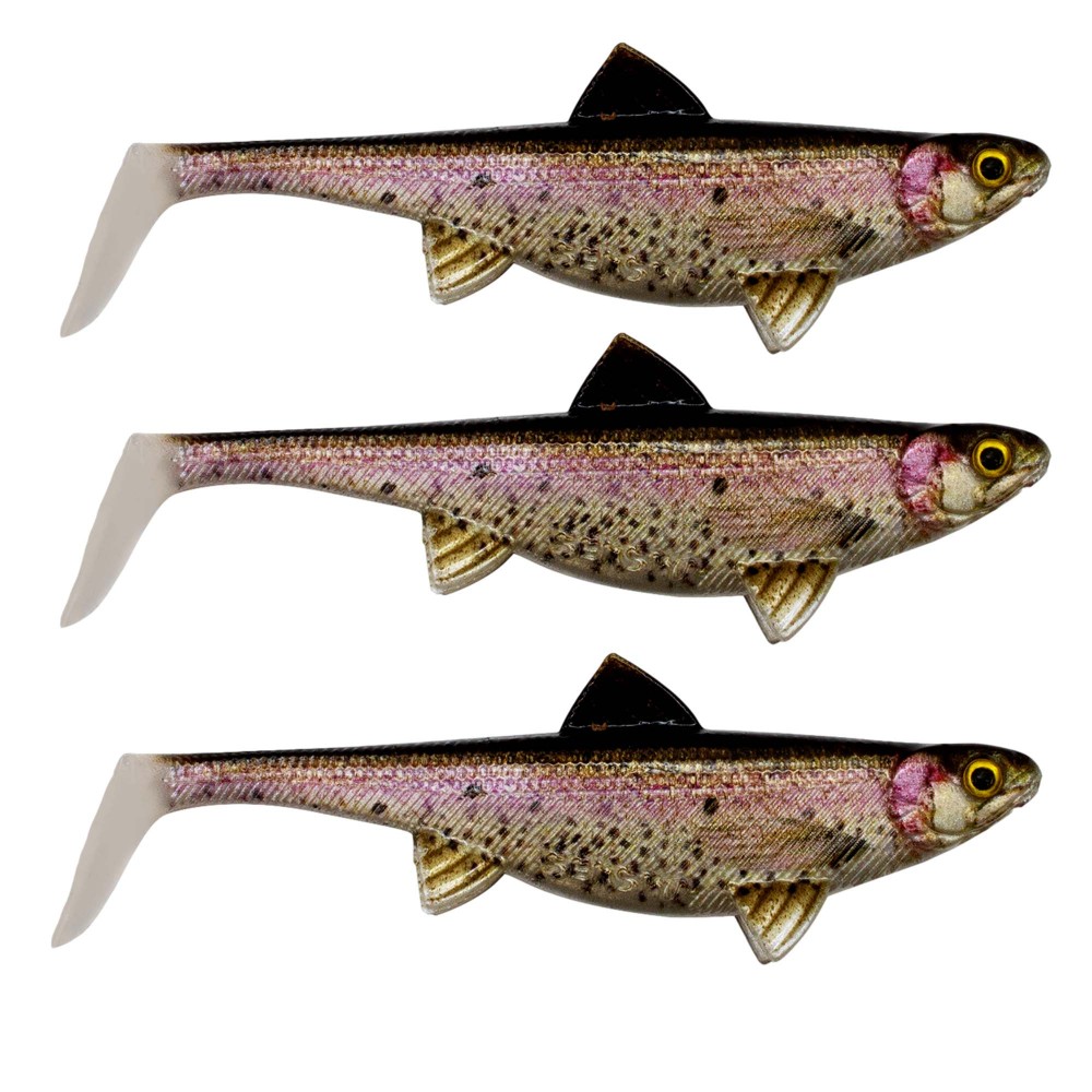 Rainbow Trout