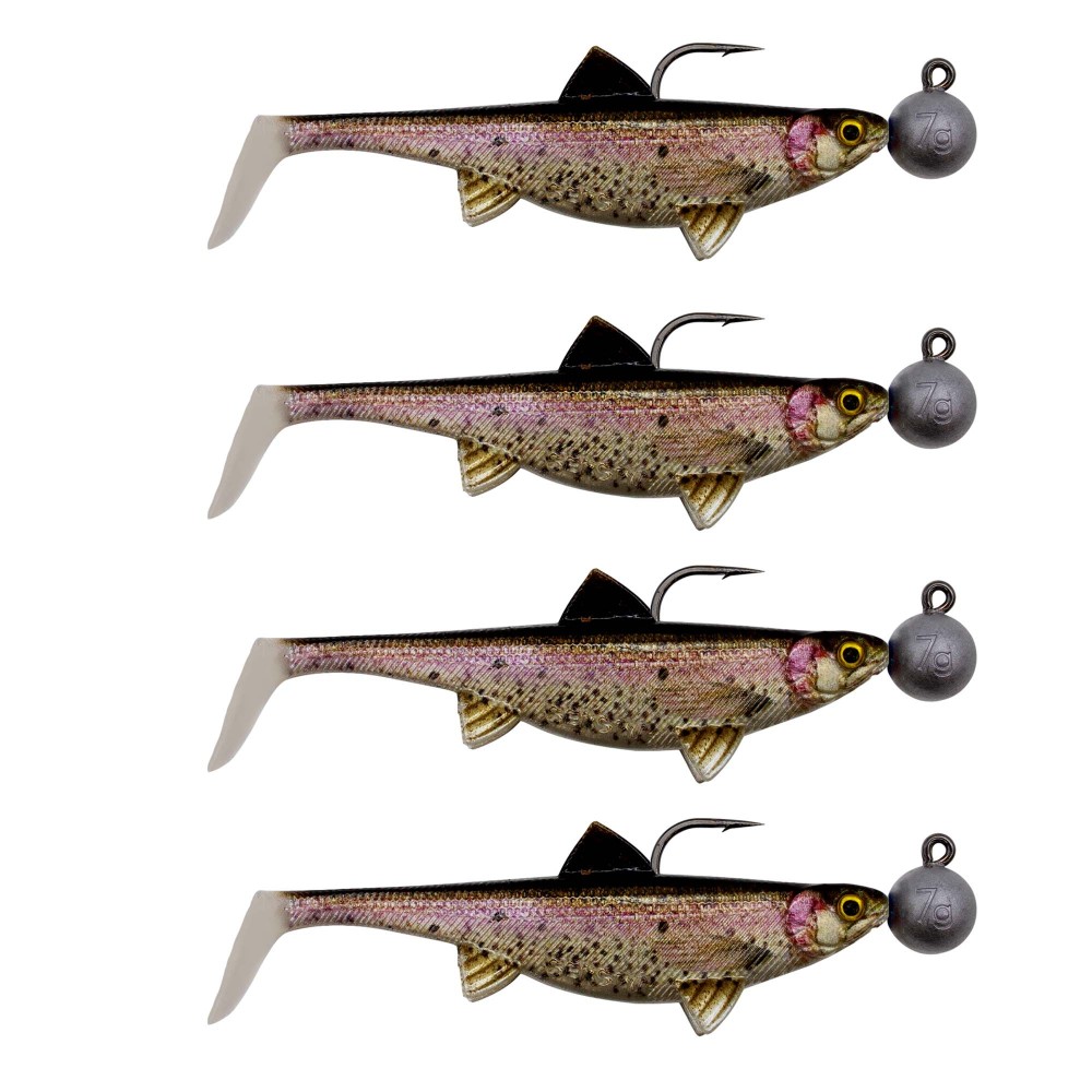 Rainbow Trout