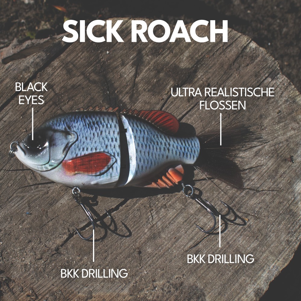 Senshu Bantarel Swimbait 15cm - Sick Roach