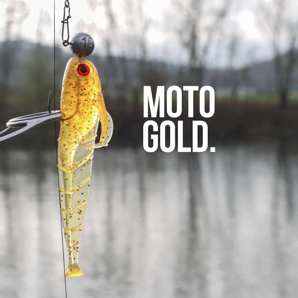 Senshu Grundola - Gummifisch Moto Gold - 11,5cm - 6 g- 5 Stück