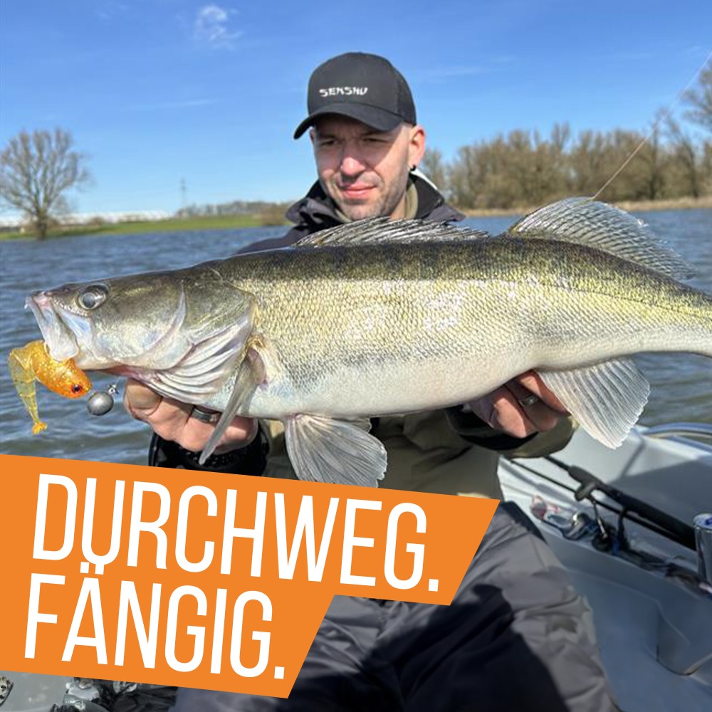 Senshu Grundola - Gummifisch Limey - 11,5cm - 6 g- 5 Stück