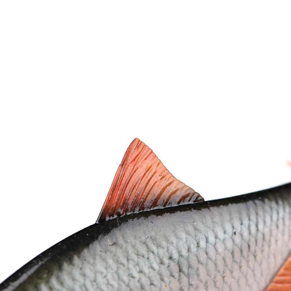 Fox Rage Ultra-Realistic Roach Replicant - Swimbait 10cm - Roach - 18g