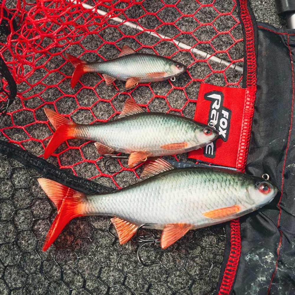Fox Rage Ultra-Realistic Roach Replicant - Swimbait 18cm - Roach - 80g