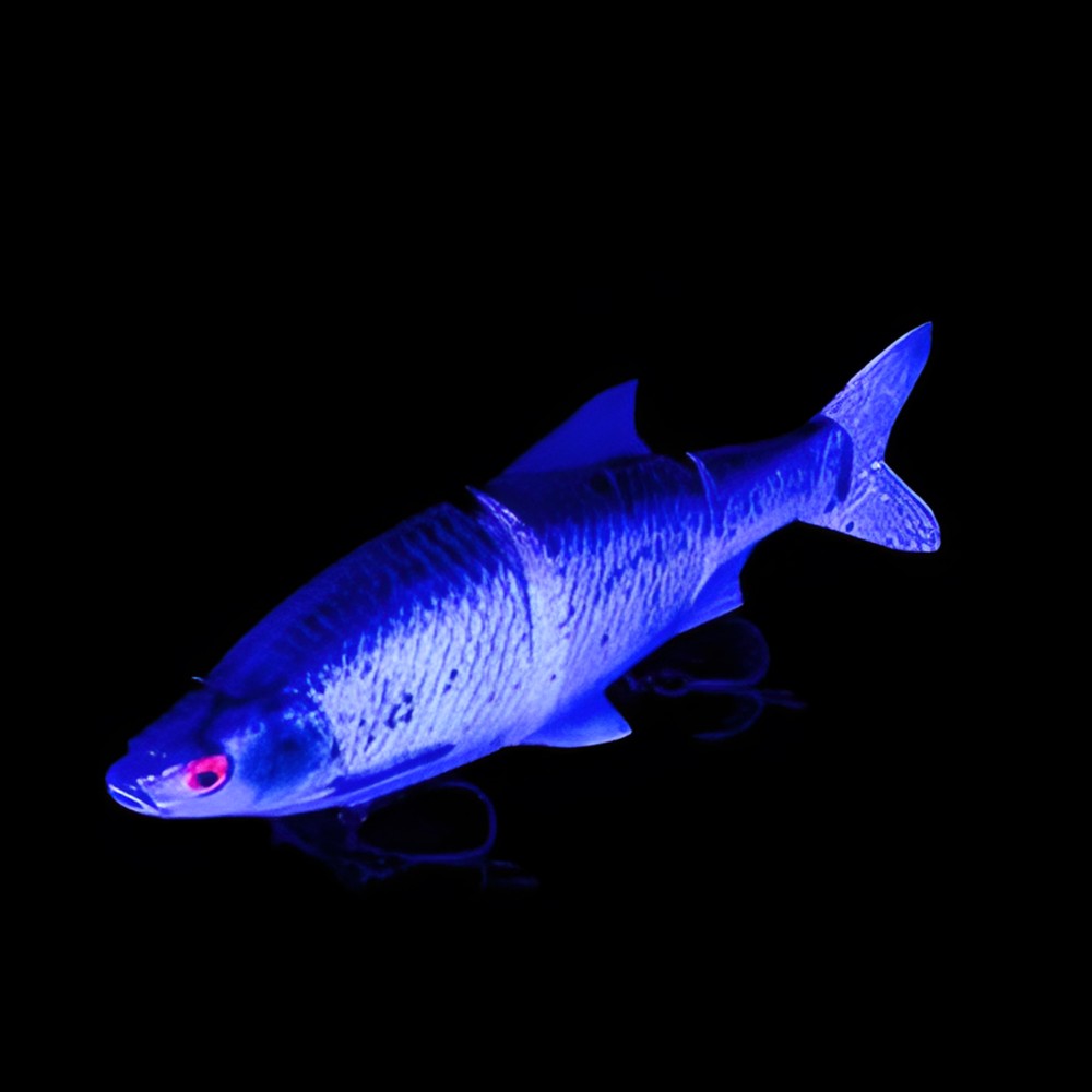 Westin Ricky the Roach Inline - Limited Edition - Inline Swimbait sinking - Headlight UV Roach Limited Edtition - 25cm - 210g