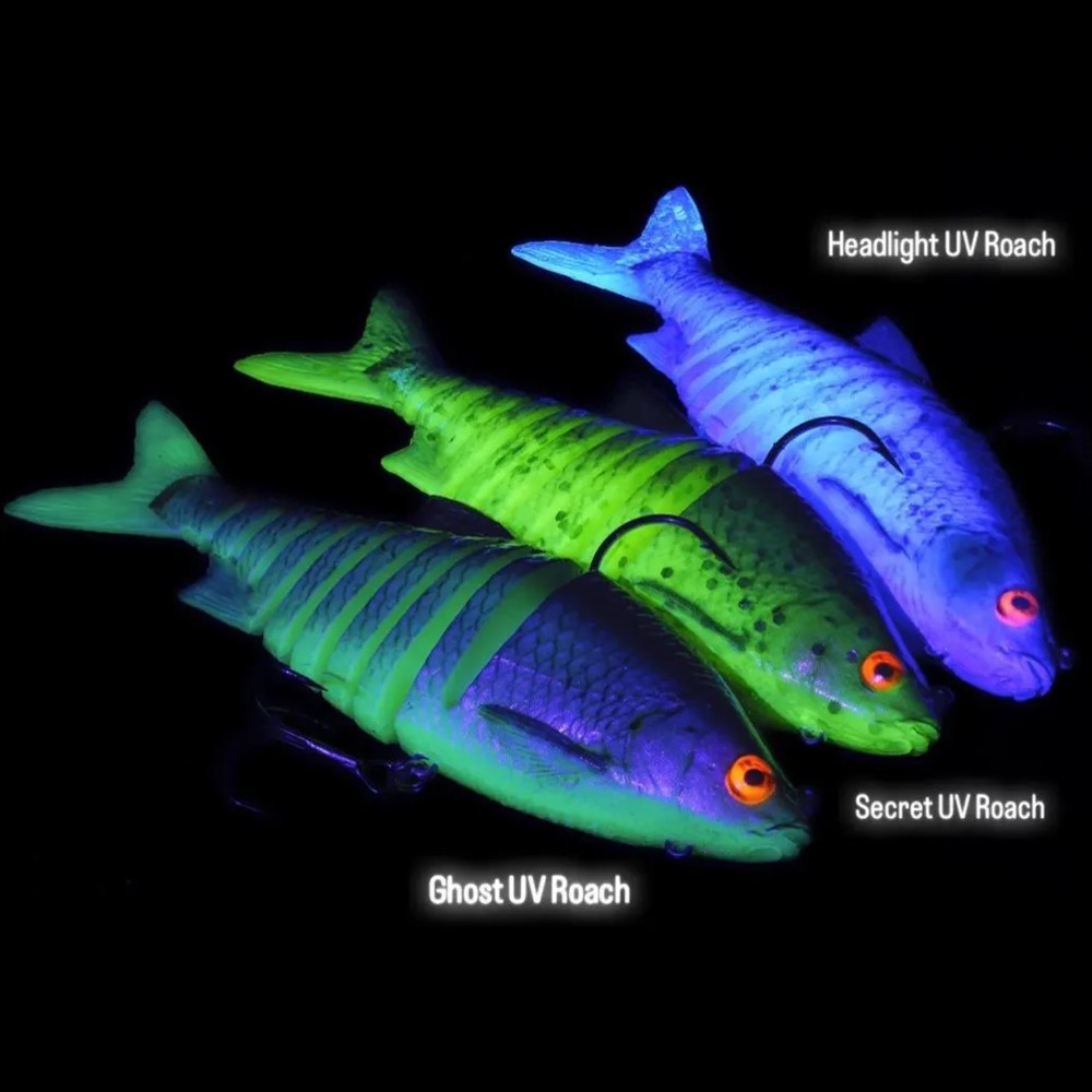 Westin Ricky the Roach Multi Jointed R2F - Limited Edition - Swimbait Headlight UV Roach Limited Edition - 14cm - 41g