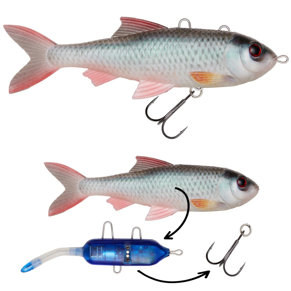 Pulzbait Kit - 15cm/20cm - Swimbait Roach Kit - 15cm - Natural Roach