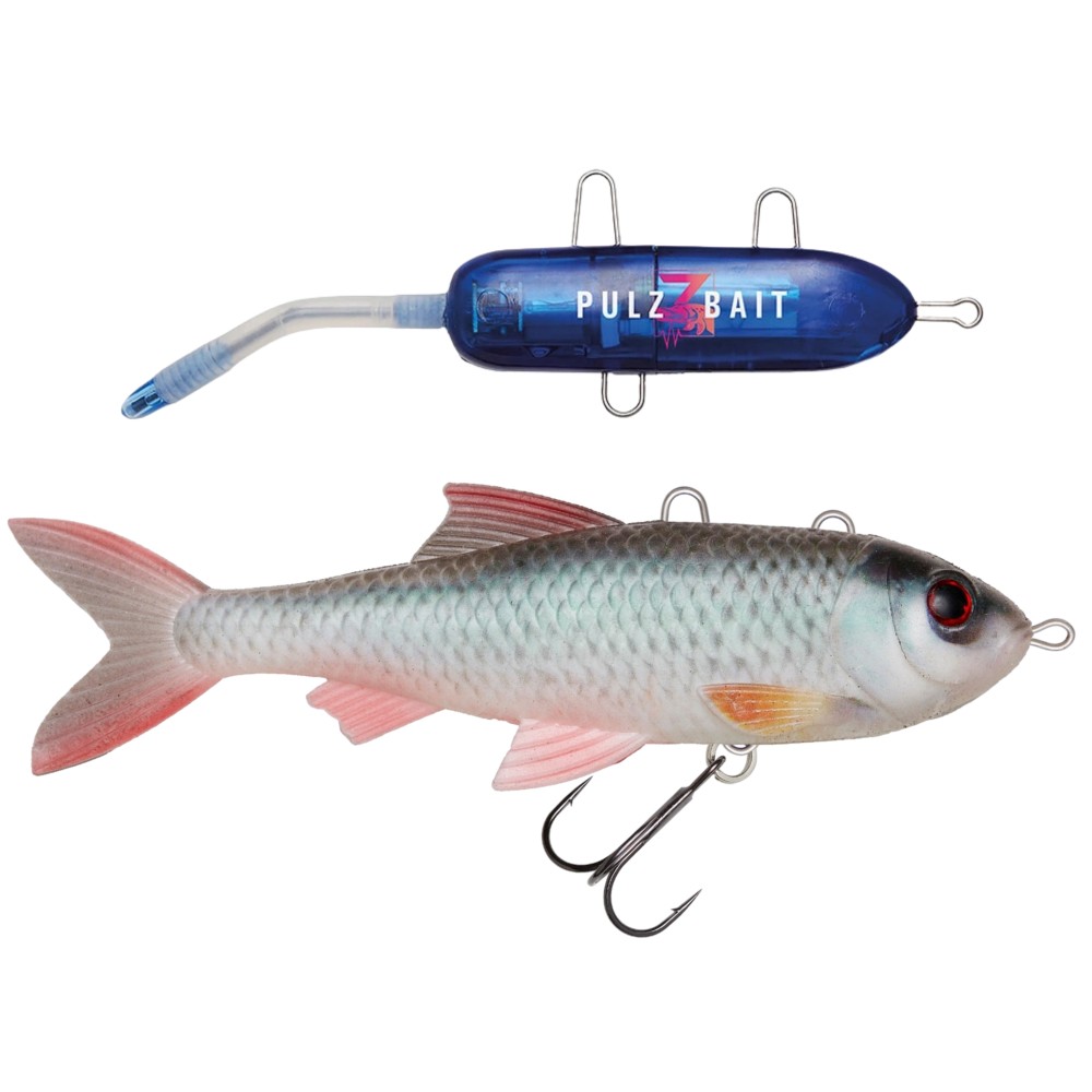 Pulzbait Kit - 15cm/20cm - Swimbait Roach Kit - 15cm - Natural Roach