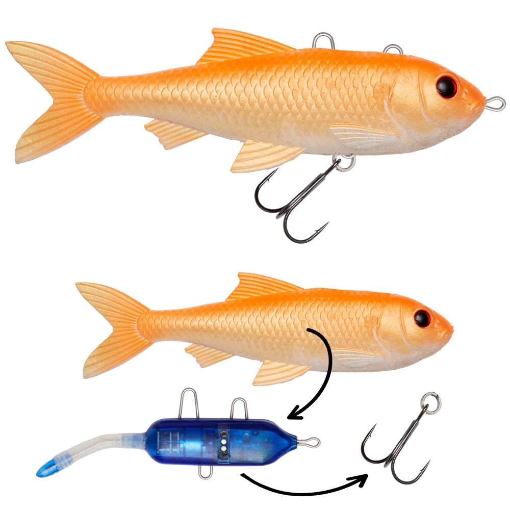 Pulzbait Kit - 15cm/20cm - Swimbait Roach Kit - 15cm - Gold Fish