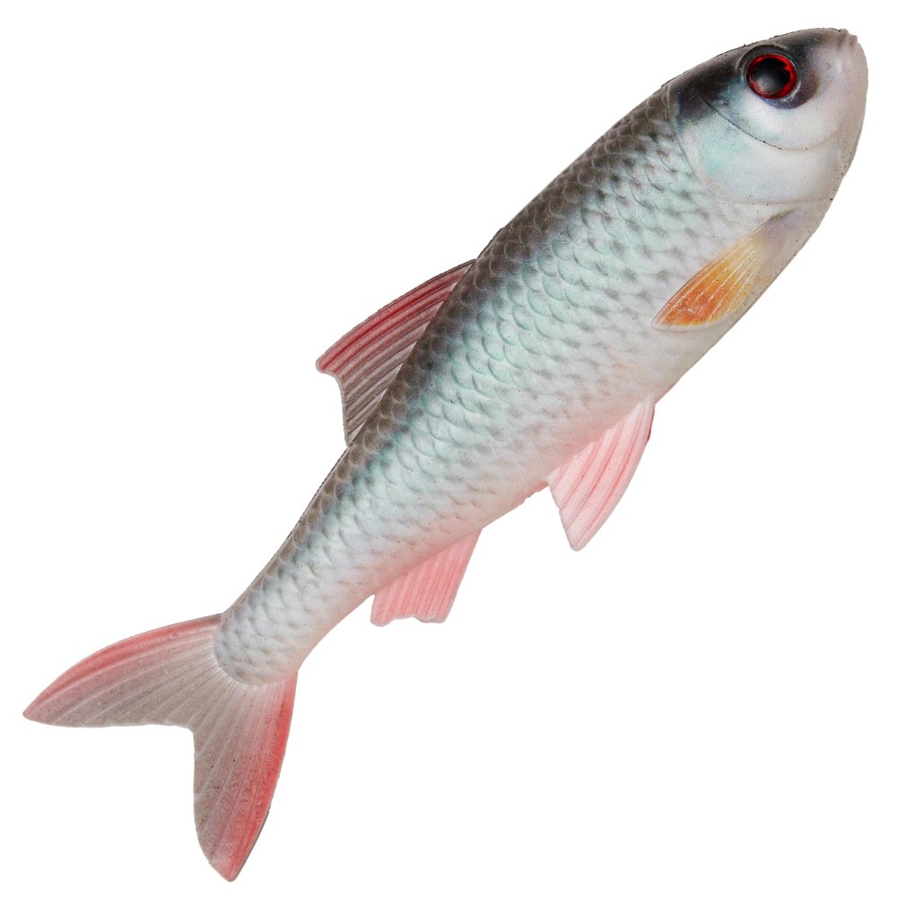 Pulzbait Skinz – 20cm - Swimbait Roach Skinz - 20cm - 1 Stück - Natural Roach