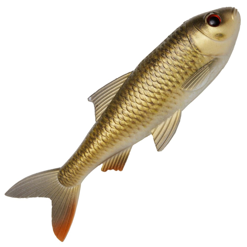 Pulzbait Skinz – 20cm - Swimbait Roach Skinz - 20cm - 1 Stück - Crucian Carp