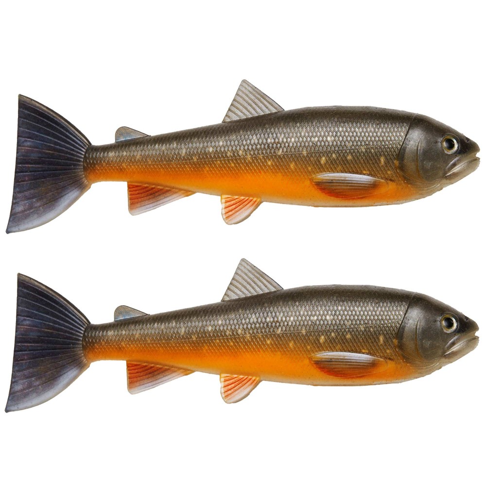 Pulzbait Skinz - 15cm - Swimbait Trout Skinz - 15cm - 2 Stück - Arctic Char