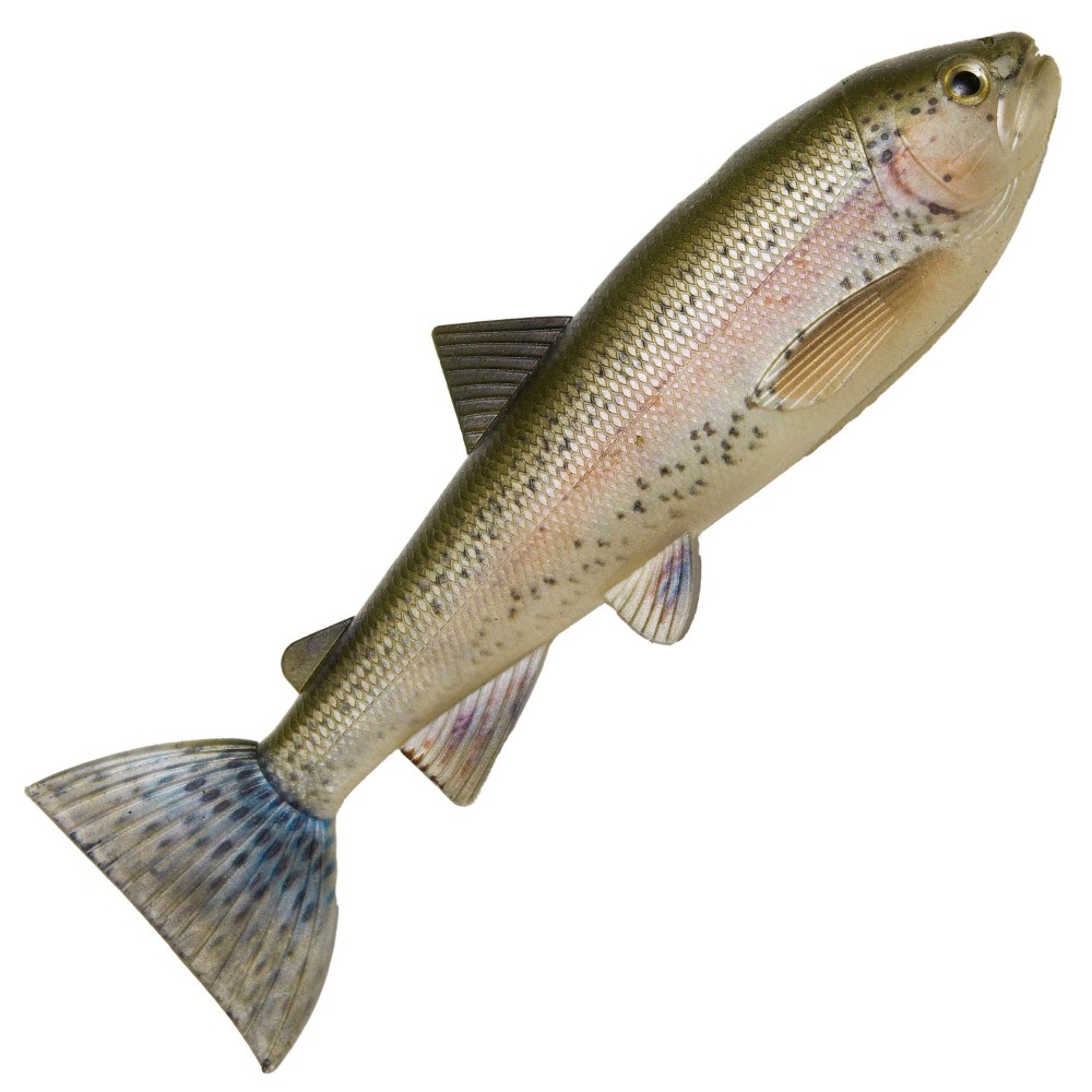 Pulzbait Skinz – 20cm - Swimbait Trout Skinz - 20cm - 1 Stück - Rainbow Trout