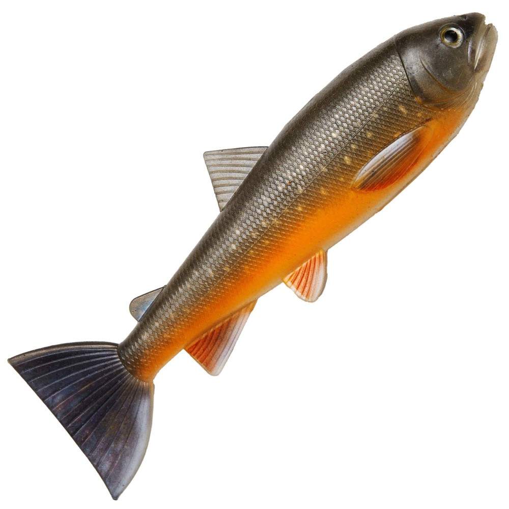 Pulzbait Skinz – 20cm - Swimbait Trout Skinz - 20cm - 1 Stück - Arctic Char