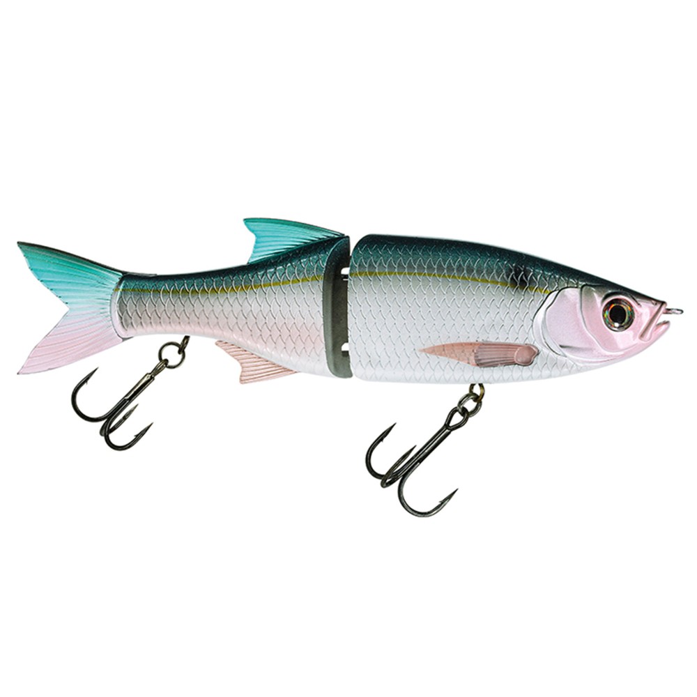 Threadfin Shad