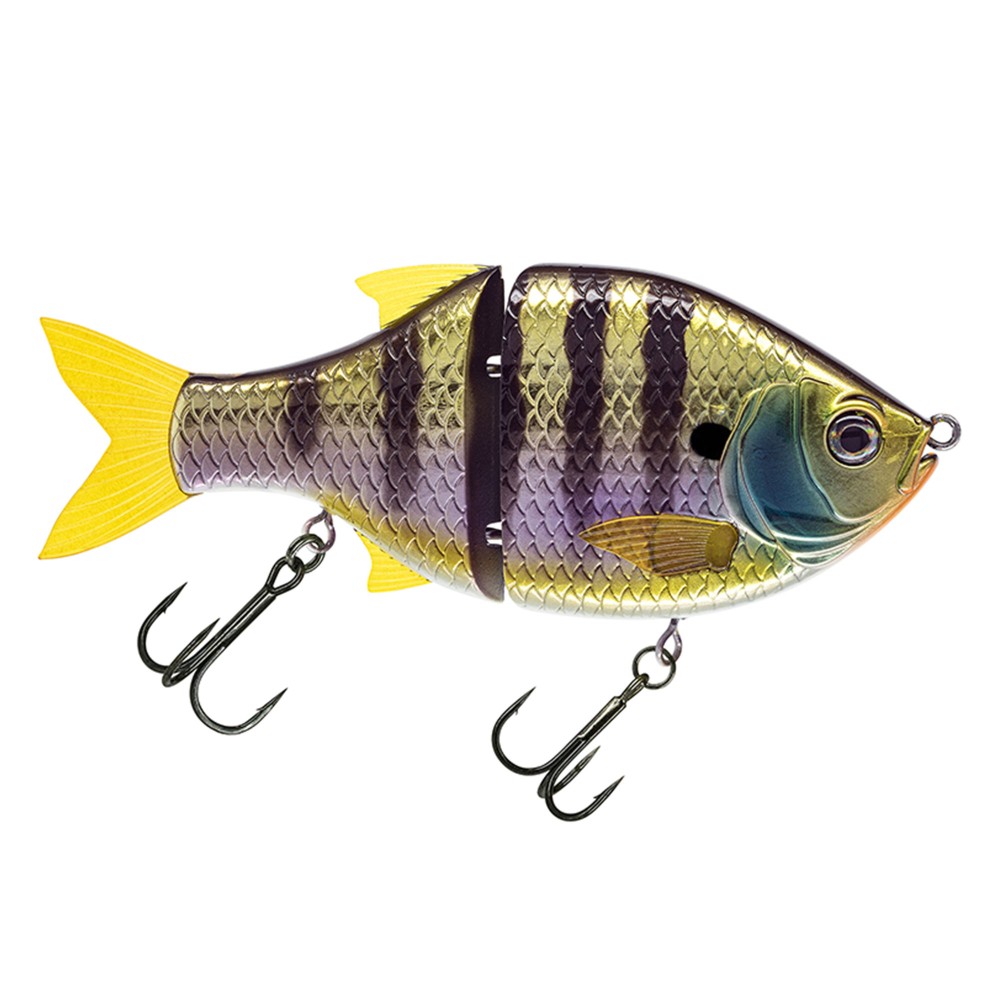 MX Blue Gill