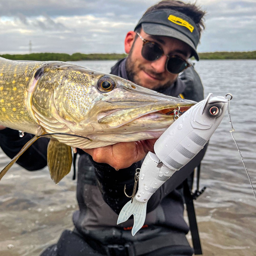 Gamakatsu Luxxe Laughin 170 - Swimbait American Shad - 17cm - 46g - Gr.#2 - 1Stück