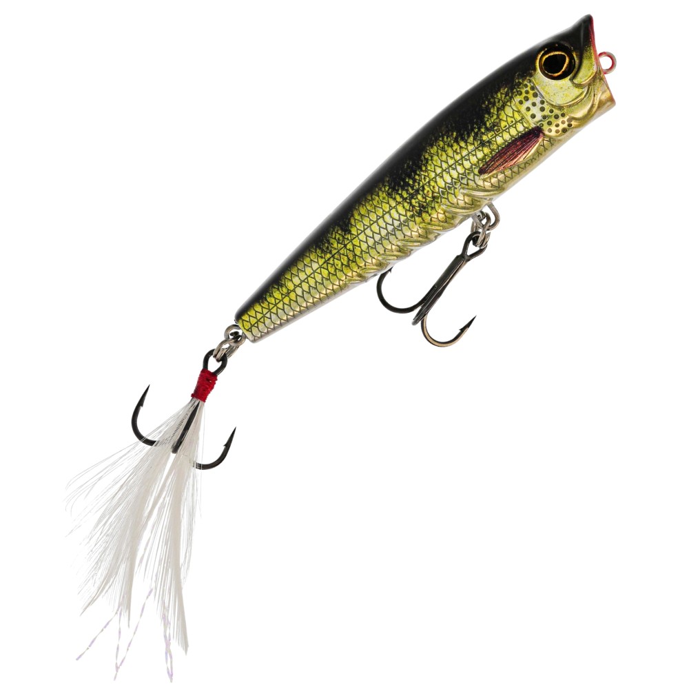 Westin Spot-On Popper - Topwaterköder Real Perch - 6,5cm - 7g - 1 Stück