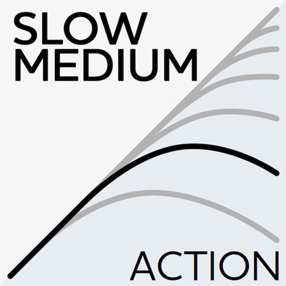 Westin W2 Predator Trolling - Schlepprute 255cm - 60-180g - H - 1 Stück