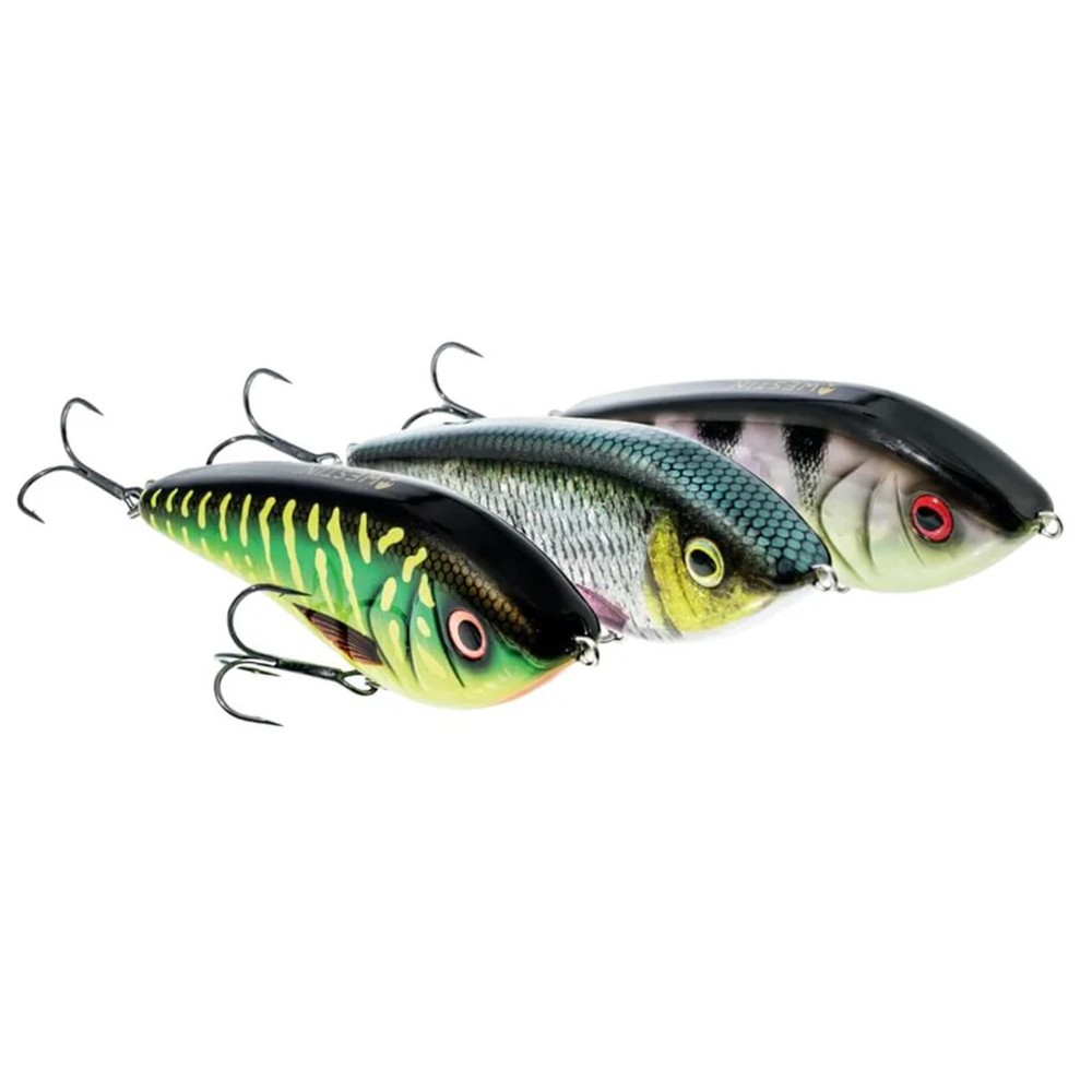 Westin Swim Glidebait Box LIMITED EDITION - Jerkbait Set suspending - 12cm - 53g
