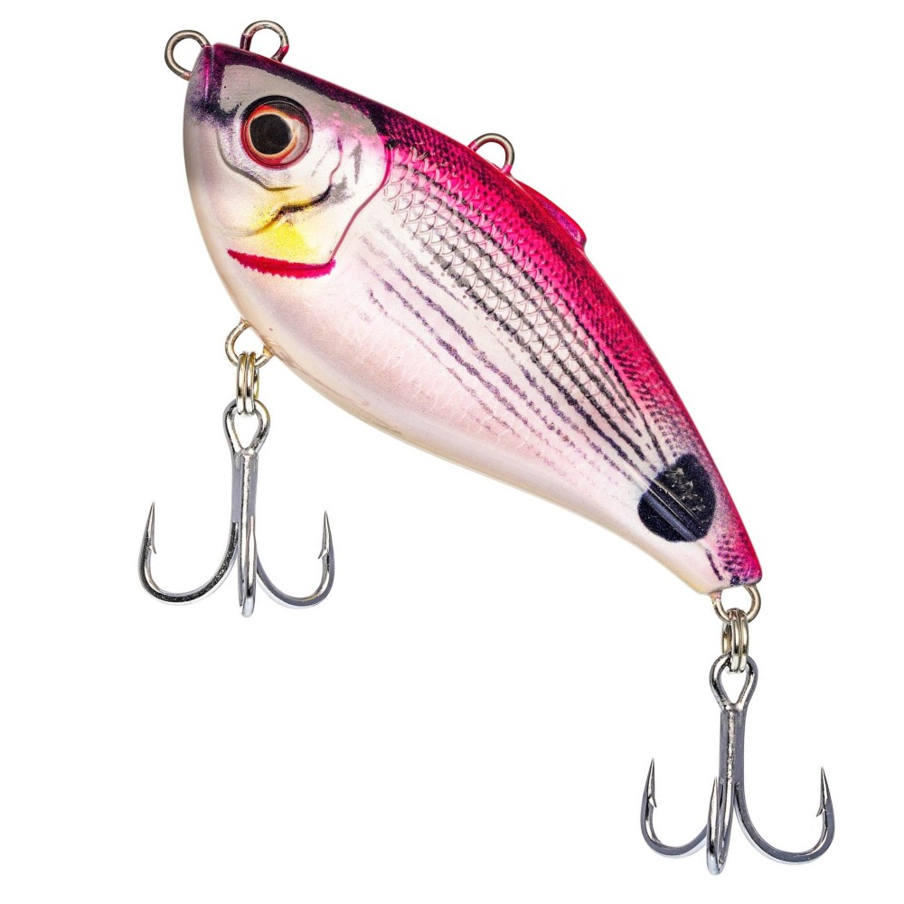 Westin Buzzvibe - Rattlebait Pink Saddled Bream - 10cm - 57g - 1 Stück